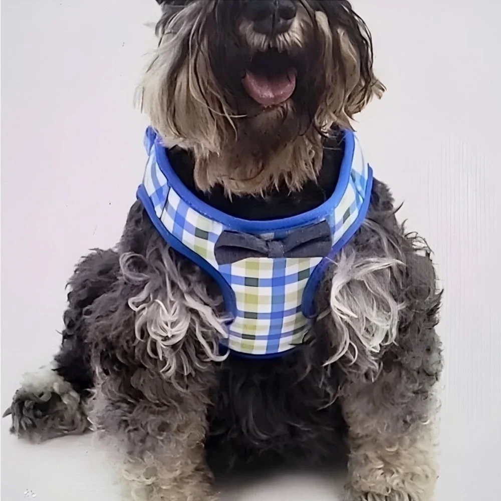 Vibrant Life Plaid Dog Harness